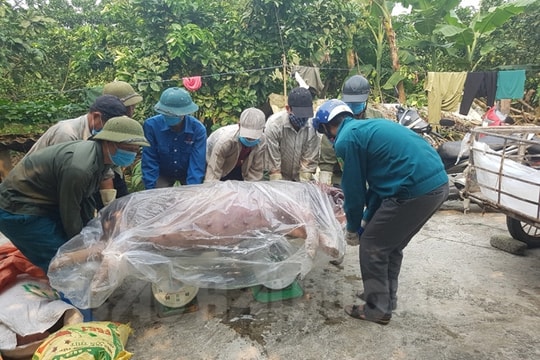 Chưa thể tái đàn lợn, người chăn nuôi tìm cách tự cứu mình